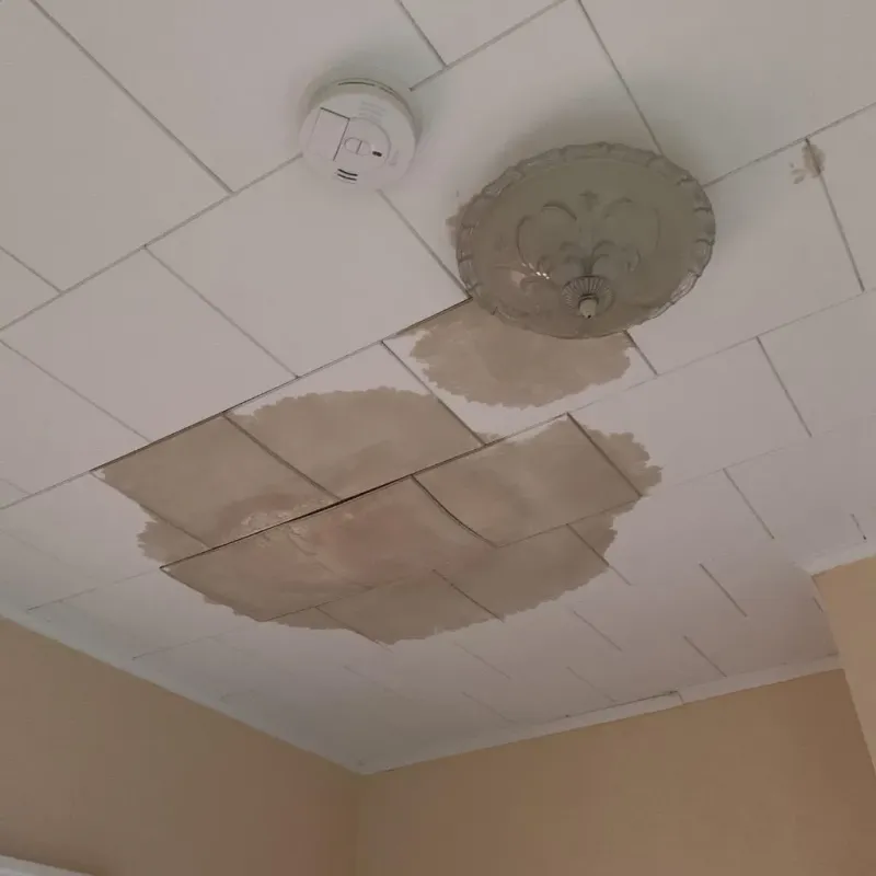 Ceiling Water Damage Repair in Muscle Shoals, AL