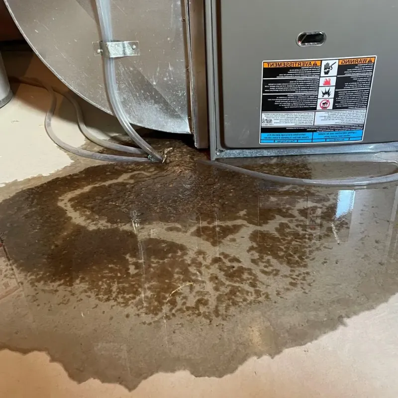Pipe Burst and Leak Restoration in Muscle Shoals, AL