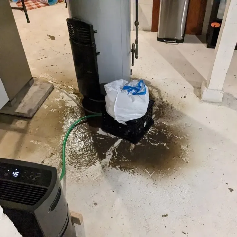 Sewage Backup Cleanup Service in Muscle Shoals, AL